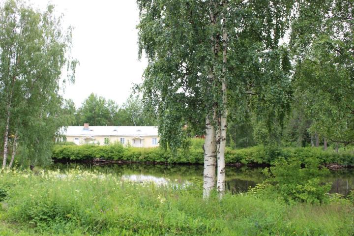 Kreivinsaari kuvattuna kesällä