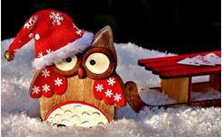 Jouluinen OmaisOivan pöllömaskotti