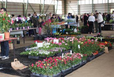 Puutarhamessujen osastoja