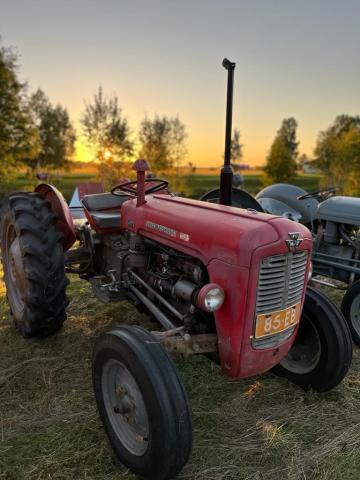 Massey Ferguson traktori ilta-auringossa